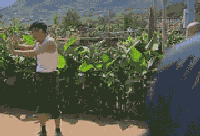 世界杯搞笑gif:哥斯达黎加的屌丝逆袭
