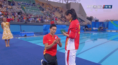 gif看巅峰:跳水队再造传奇 施廷懋加冕双冠王