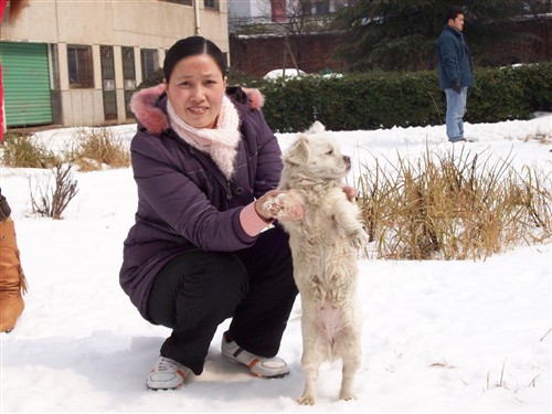 ... 郊外女人与狗图片_非洲刚果布女人图片_社会新闻