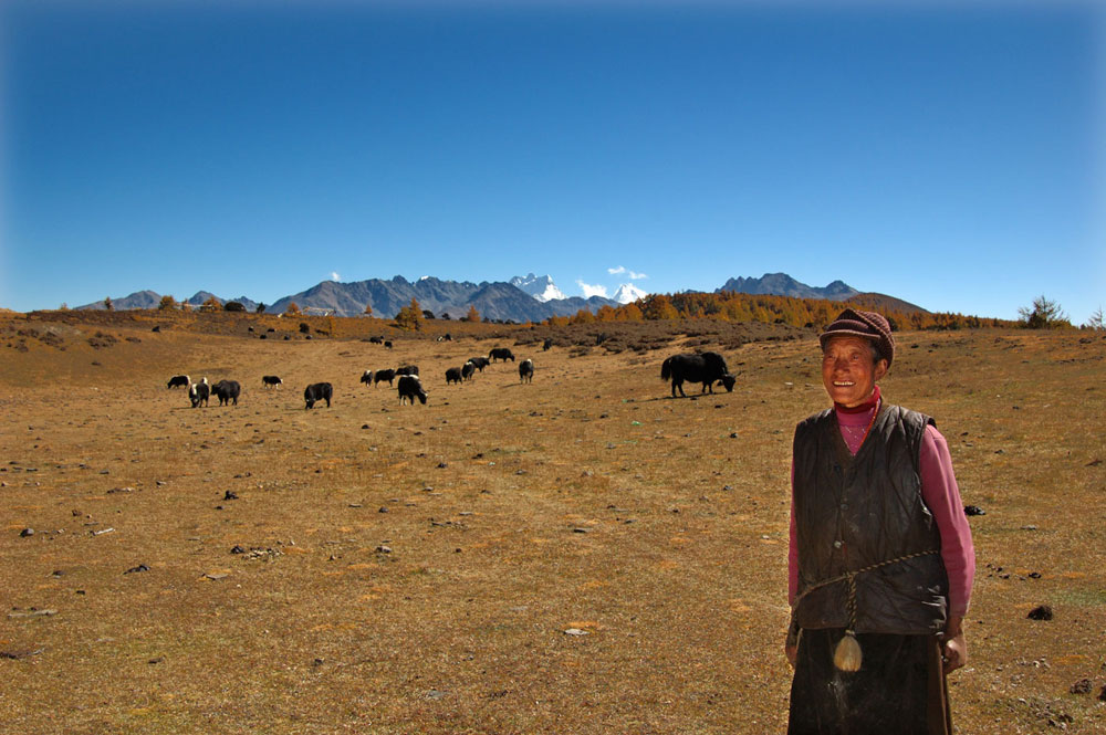 高山上的 放牧人 