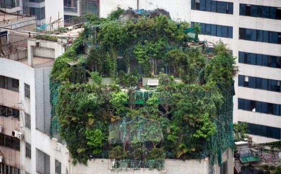 盘点2014年违章建筑:武汉空中花园和鸟笼建筑上榜
