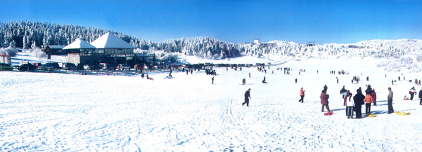<em>重庆武隆仙女山</em>赏雪_爱生活俱乐部_腾讯·大