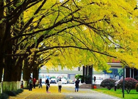 四川农业大学110周年校庆_腾讯大成网_腾讯网