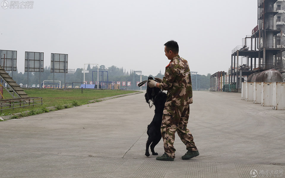 图说:再见,老兵!_腾讯大成网_腾讯网