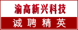重庆渝高新兴科技发展有限公司_重庆招聘网