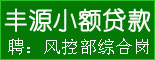 重庆九龙坡区丰源小额贷款股份有限公司_重庆找工作
