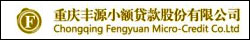 重庆九龙坡区丰源小额贷款股份有限公司_重庆找工作