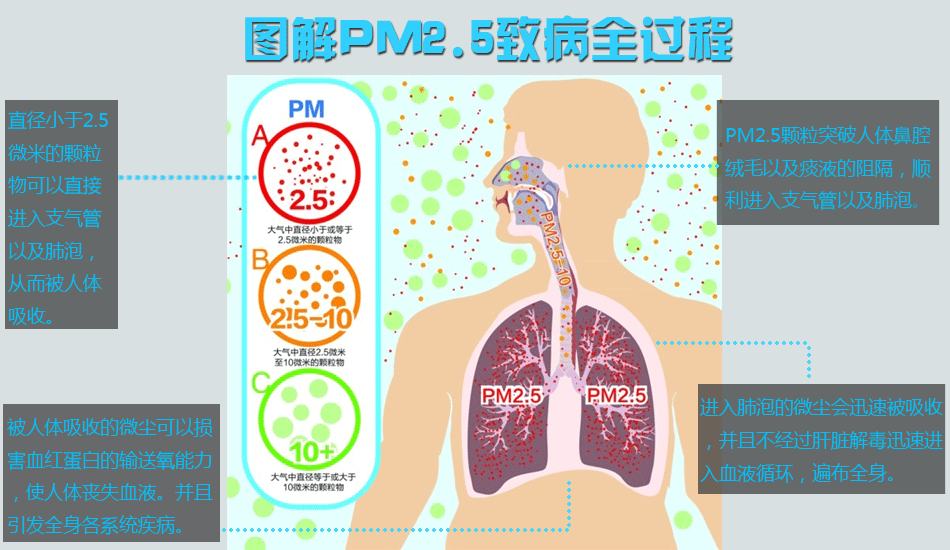 5:是指大气中直径小于或等于2.5微米的颗粒物,也称为可入肺颗粒物.