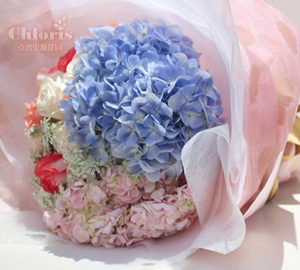 小编淘店31:美女重庆美女的克洛里斯两个花园骑羊a美女图片