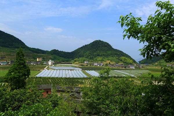 歇马镇人口_2020年北碚歇马镇规划(3)