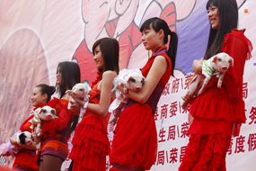 第五届中国荣昌猪年猪节