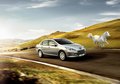2010������307����ͼ