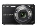 Sony W130