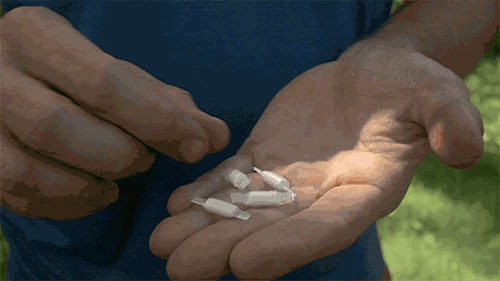 这个神奇万能腰带,让你成为食物链顶端的人