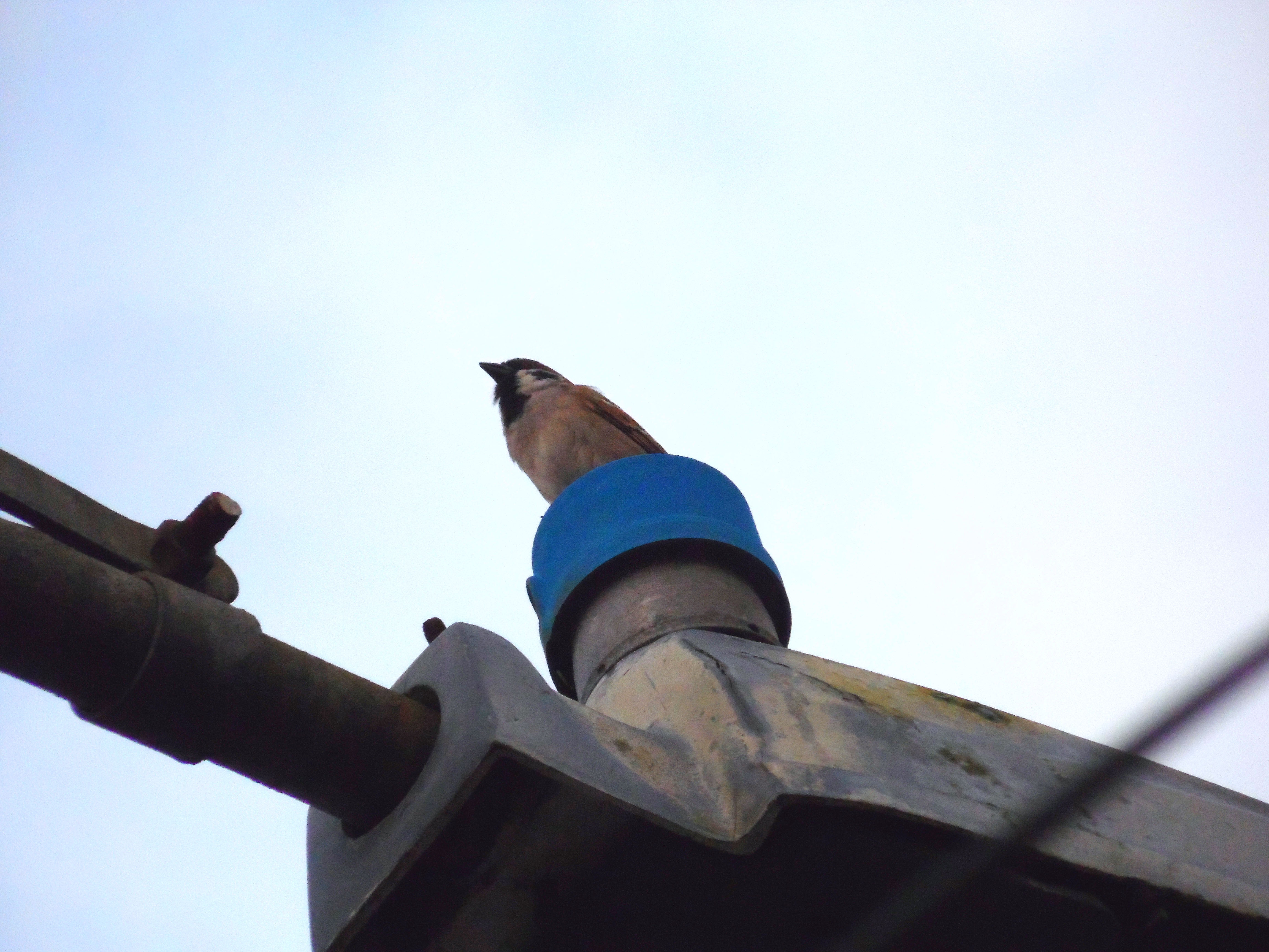 淘宝拍照片用什么相机好?推荐几款中等实用的