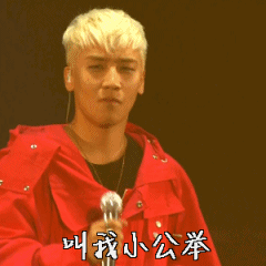 BIGBANG简直是圈粉大王 此文都是表情包慎点 BIGBANG简直是圈粉大王 此文都是表情包慎点