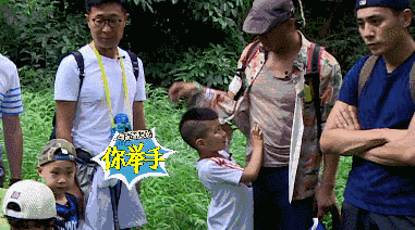 康康承担了这样的高冷与担当 霸道总裁好心累!