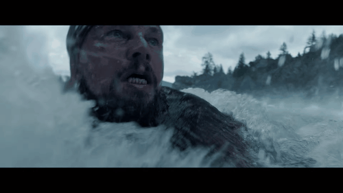 楹在好莱坞 多图看懂小李子和小金人的爱恨情仇