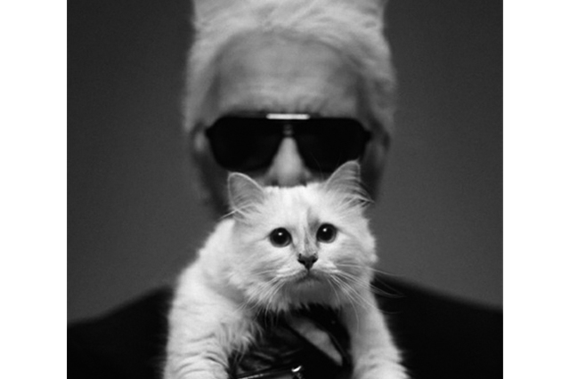 卡尔·拉格斐(karl lagerfeld)和choupette