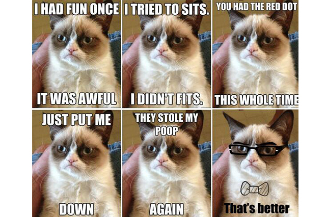 不爽猫(Grumpy Cat) 不爽猫(Grumpy Cat)