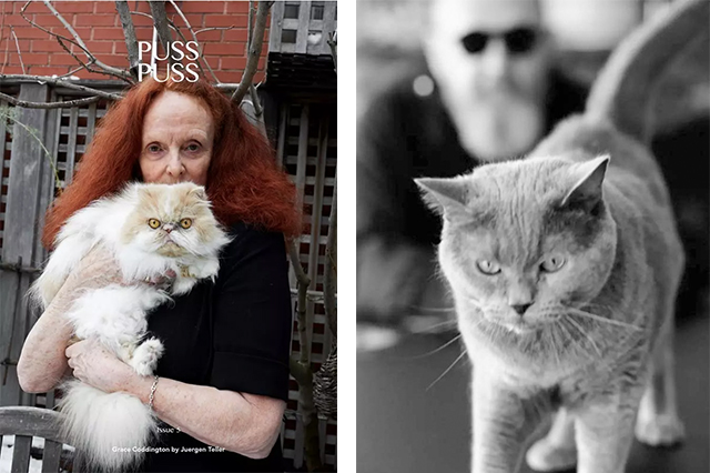左:格蕾丝·柯丁顿(Grace Coddington)和猫 右:艾未未和猫 左:格蕾丝·柯丁顿(Grace Coddington)和猫 右:艾未未和猫