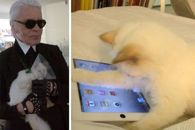 卡尔·拉格斐(Karl Lagerfeld)和Choupette 卡尔·拉格斐(Karl Lagerfeld)和Choupette