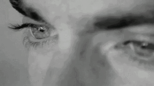 壁纸 动物 猫 猫咪 小猫 桌面 500_281 gif 动态图 动图