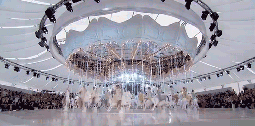 500_247gif 动态图 动图
