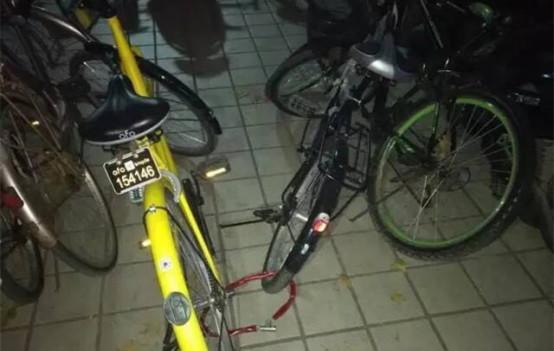 北京两名护士给共享单车上锁占为己有,被拘留