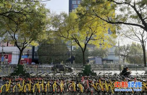 增资近19亿元 蚂蚁金服成哈罗单车第一大股东