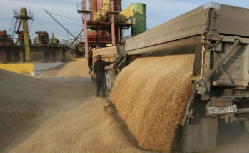 世界上产量最大的水果_美国人均粮食产量