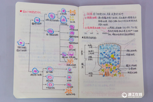 细胞图片手绘图