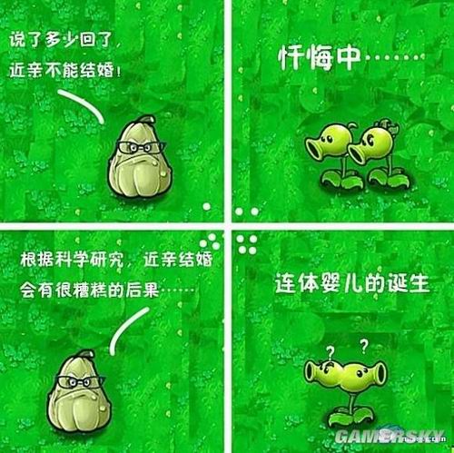 《僵尸漫画爆笑》植物四格漫画欣赏膝抱大战图片