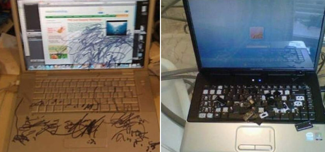 家居另类科普:我真的不是充话费送滴!_家居频