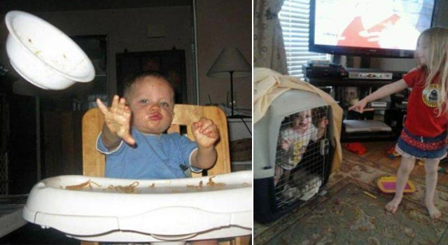 家居另类科普:我真的不是充话费送滴!_家居频