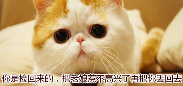 家居另类科普:我真的不是充话费送滴!_家居频