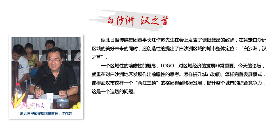 白沙洲,汉之首 - 权威解析:"论道白沙洲"区域发展论坛
