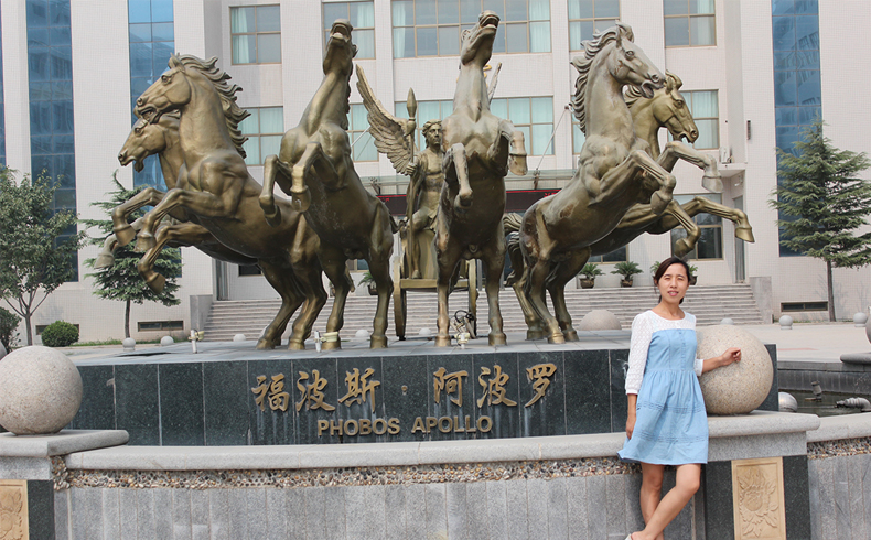 郑州澍青高等医学专科学校教师张玲_2014微