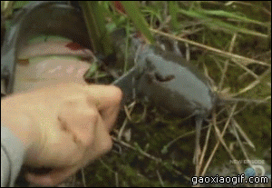 具有拼搏,合作精神的你,正是黄页冒险向来所召唤的勇士.