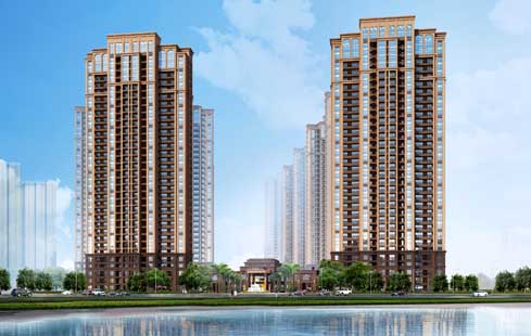 博仕后龙港城1月1日盛大开盘