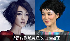 �紺12������̷������绨