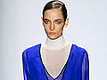 BCBG Max Azria 2011�ﶬ��