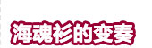 2012早春服装设计培训度假系列发布及趋势预测闻瑞推荐 - 闻瑞服装培训 - 闻瑞服装运营培训谷 2012早春服装设计培训度假系列发布及趋势预测闻瑞推荐 - 闻瑞服装培训 - 闻瑞服装运营培训谷