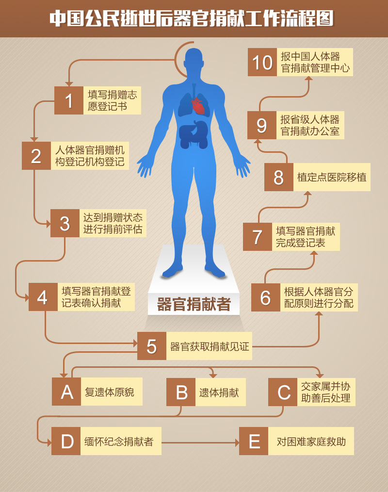 生死契约:中国器官移植二十年之变