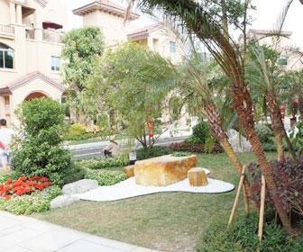 平果碧桂园 平果人在南宁 你妈叫你回家买房看