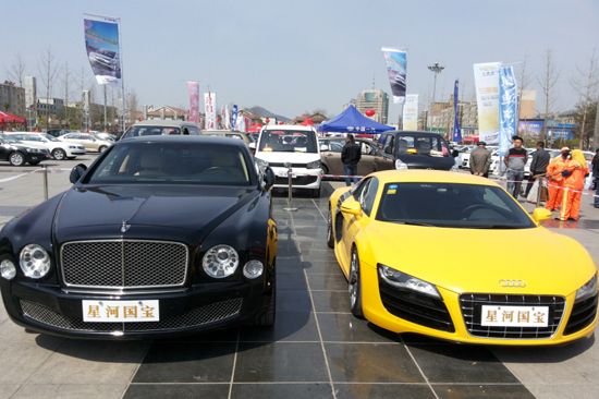 我的家我的天下 星河国宝国际车展盛大启幕_