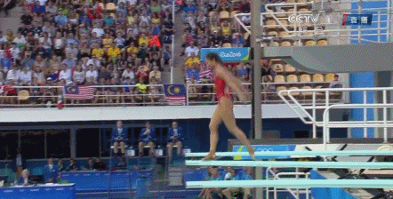 gif看巅峰:跳水队再造传奇 施廷懋加冕双冠王