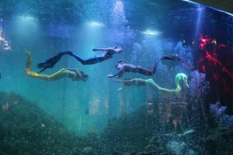 4月26日国际商业航母 盾安新一城首耀起航_房产_腾讯网