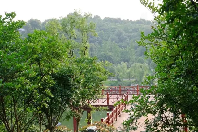 区内峰峦叠嶂,山水相依,青山绿水,风景如画.