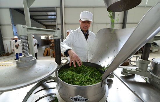 图为绍兴柯桥某制茶企业实行“机器换人”,其生产效率为人工制茶的6倍。
